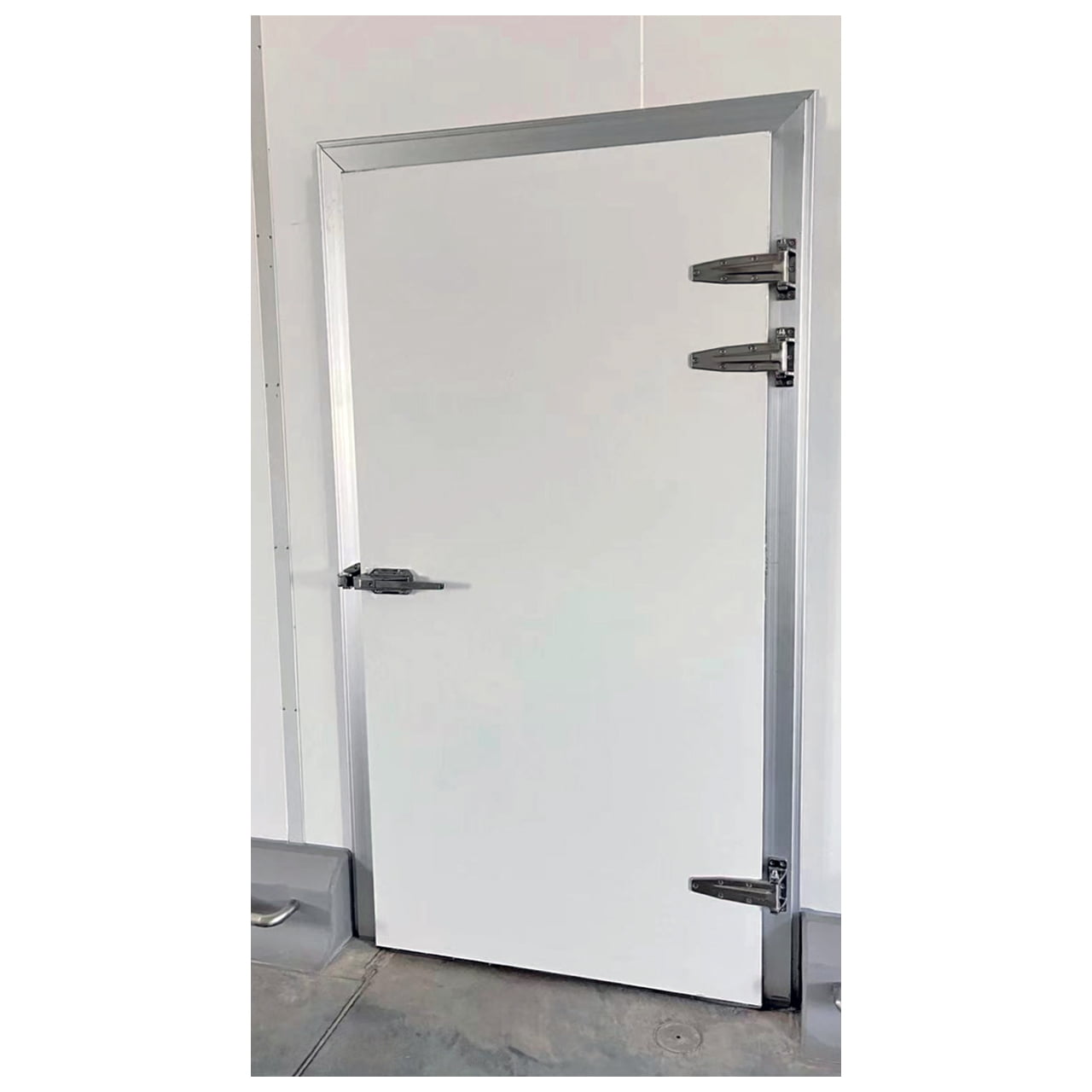 Semi Embedded Cold Room Door